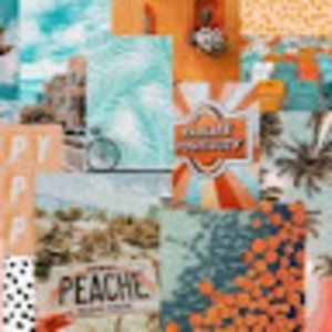 Meet your Posher, Allie